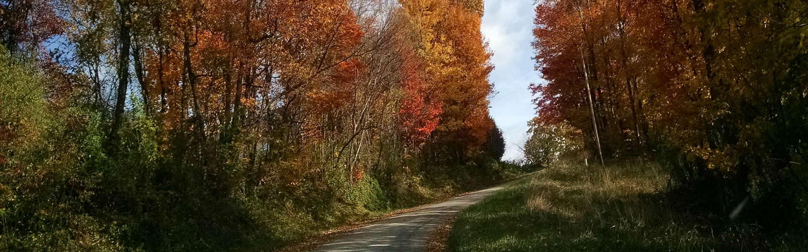 Perry County Country Road